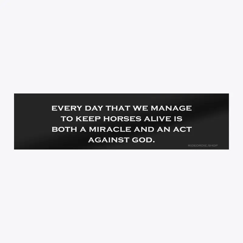 every day we keep horses alive 